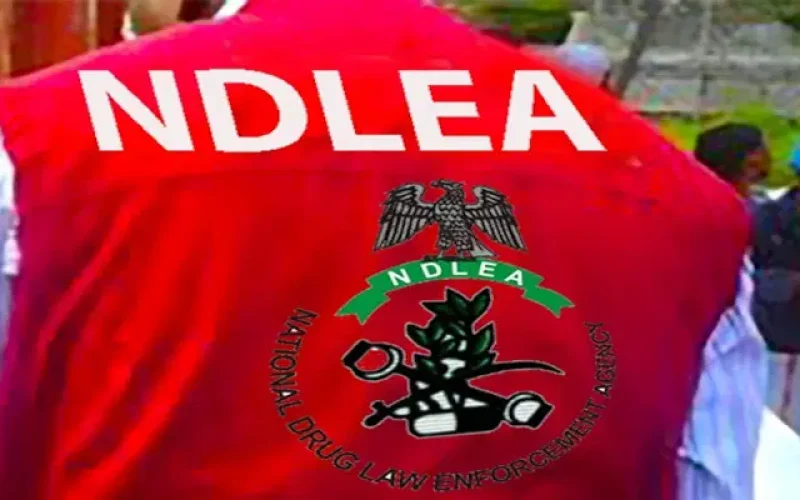NDLEA Arrests Notorious Drug Kingpin, Seizes ₦7.8bn Worth of Opioids in Rivers