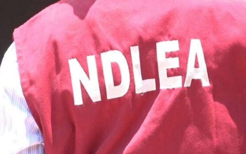 NDLEA Operatives Repel Cultist Attack During Drug Raid in Port Harcourt