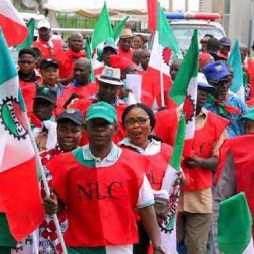 nlc PROTEST