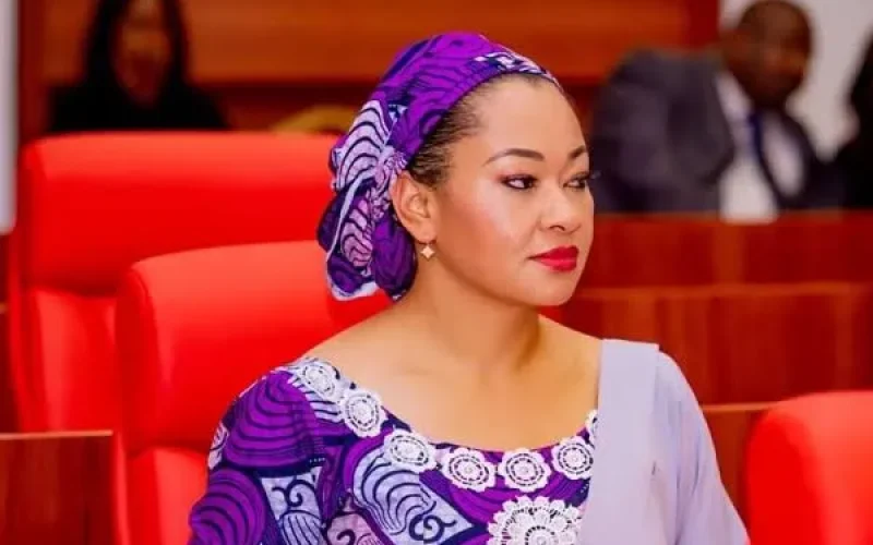 Senator Dickson Backs Senate’s Decision on Committee Reshuffle Amid Natasha Akpoti-Uduaghan’s Removal
