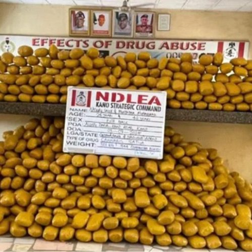 NDLEA Seizes Lipstick-Hidden Cocaine, Dismantles Major Drug Rings, and Recovers AU $17.7 Million in Counterfeit Cheques
