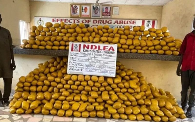 NDLEA Seizes Lipstick-Hidden Cocaine, Dismantles Major Drug Rings, and Recovers AU $17.7 Million in Counterfeit Cheques