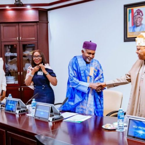 Nigeria-Brazil Strengthen Ties: Shettima Calls for Deeper Strategic Cooperation