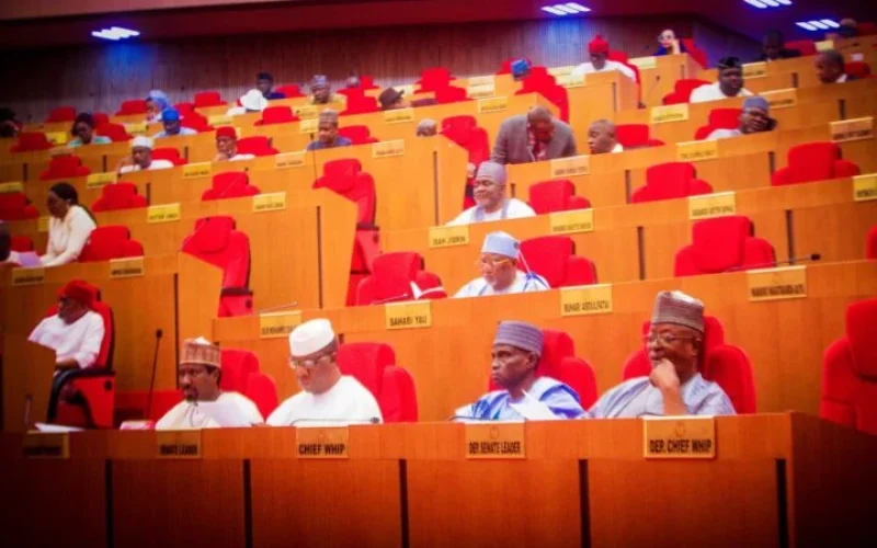 Senate Urges Tinubu to Facilitate N200m Compensation for Toddler Killed During NDLEA Operation in Asaba