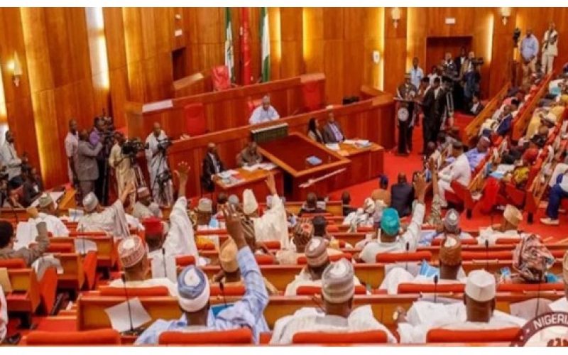 Senate pass proceeds of crime amendment bill second reading amid divided opinions