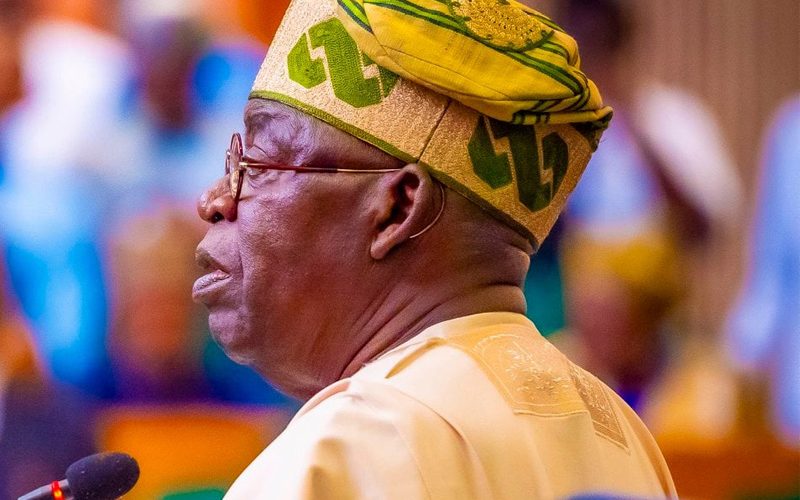 Tinubu Reaffirms Call for State Police