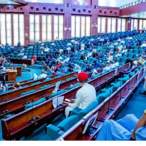 Reps Summon Finance Minister, CBN Governor Over Audit Irregularities and Fiscal Act Violations