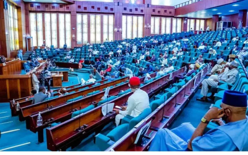 Reps Summon Finance Minister, CBN Governor Over Audit Irregularities and Fiscal Act Violations