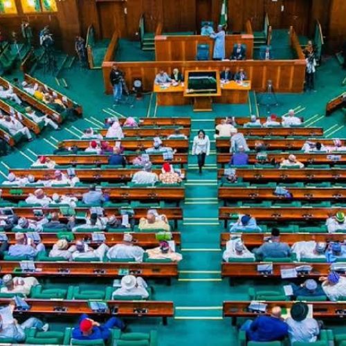 CONSTITUTIONAL REVIEW DRAFT