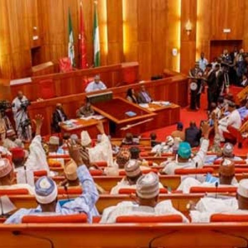 Senate urges President Tinubu to assent to Forest Security bill to address insecurity, kidnapping