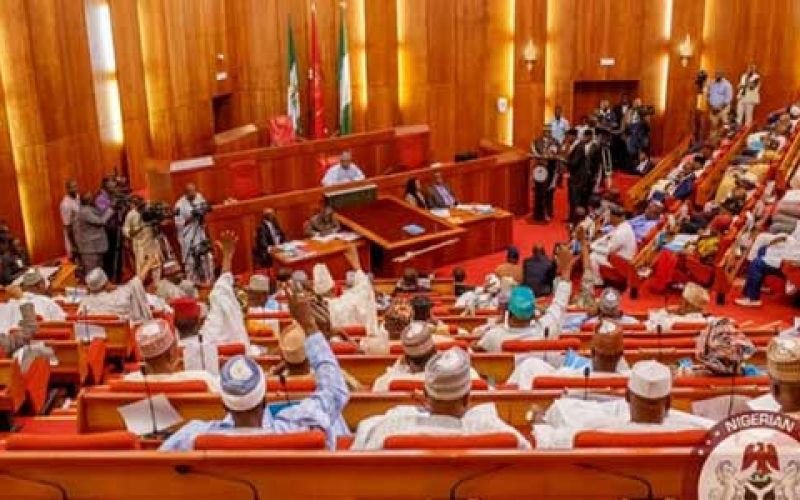Senate to engage Finance, Budget, and Water Resources ministers over 380 billion naira irrigation fund imbalance, Steps Down Motion