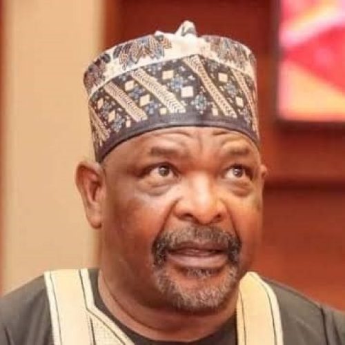 SENATE SUSPENDS SEN. NINGI
