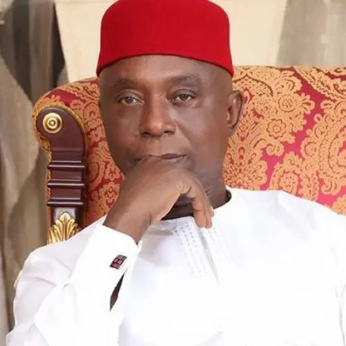 Senator Ned Nwoko