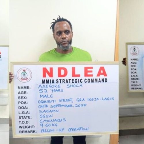 NDLEA Busts International Cartel, Seizes N5.3bn Cocaine and N1.1bn Codeine