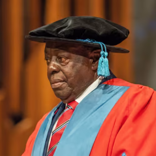 Afe Babalola Pan-African Arts Award