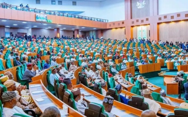 Rowdy Session in House of Representatives Over Alleged Illegal Land Allocation at Lagos Trade Fair Complex