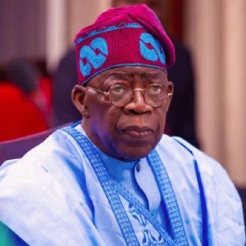 Tinubu Vows to Turn Unstable Zones into Economic Hubs