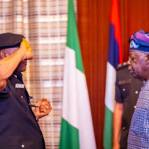 Tinubu Tasks Acting IGP Disu