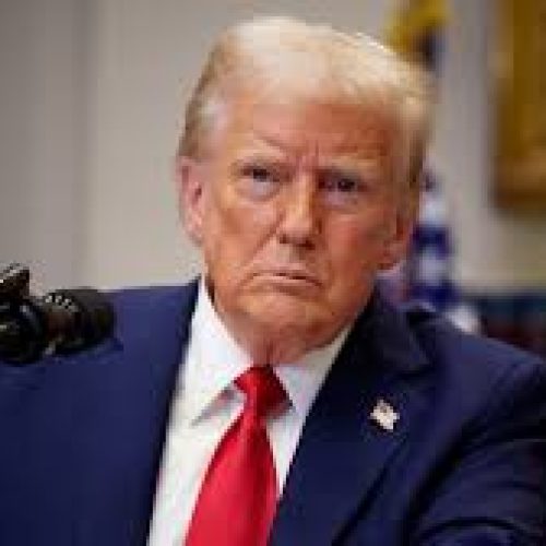 Government Watchdogs