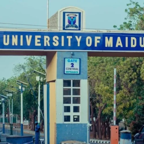UNIMAID Alumni, Students Reject Renaming to Muhammadu Buhari University, Recommend Alternatives
