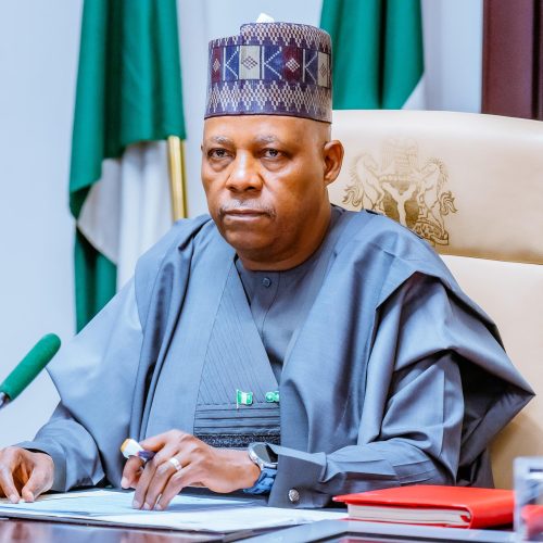 VP Shettima Chairs 152nd NEC Meeting, Gov. Fubara Absent