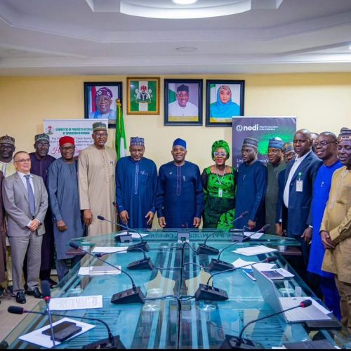 FG Set to Launch Diaspora BRIDGE Platform to Boost Academic Collaboration