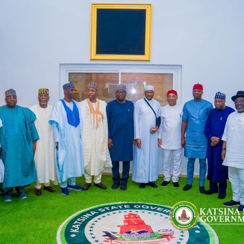 APC Governors Pay Solidarity Visit to Governor Radda After Road Accident