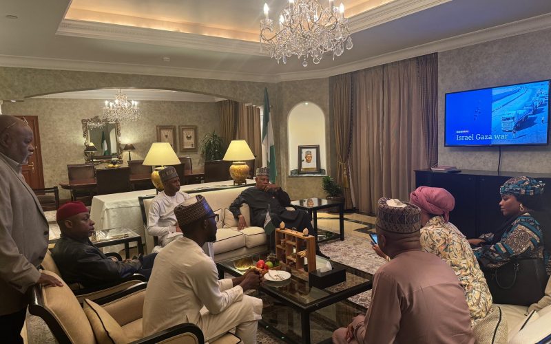 Ababa for UN Food Systems Summit, Nigeria Gifts Ethiopia 2,000 Cashew Seedlings