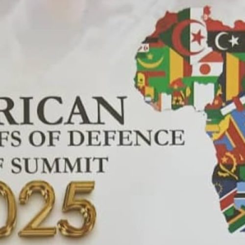 African Chiefs of Defence Summit: General Musa Calls for Stronger Security Cooperation