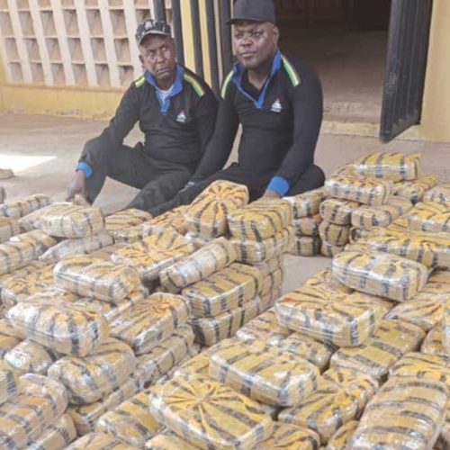 NDLEA Arrests Two in Taraba