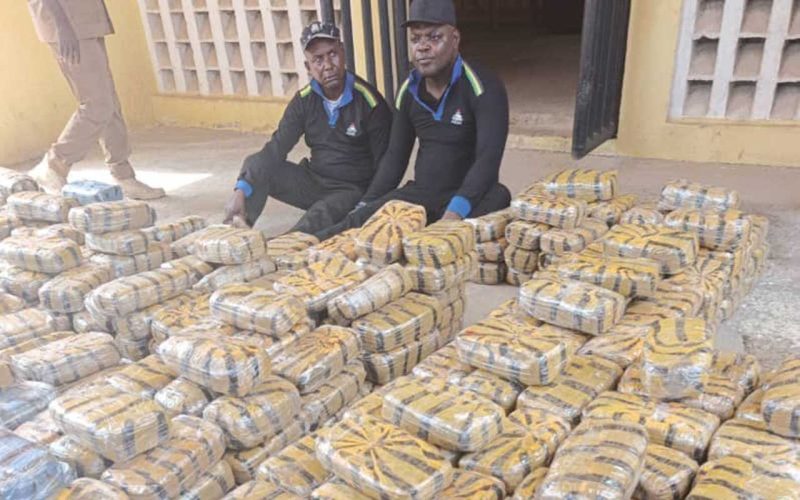 NDLEA Arrests Two in Taraba