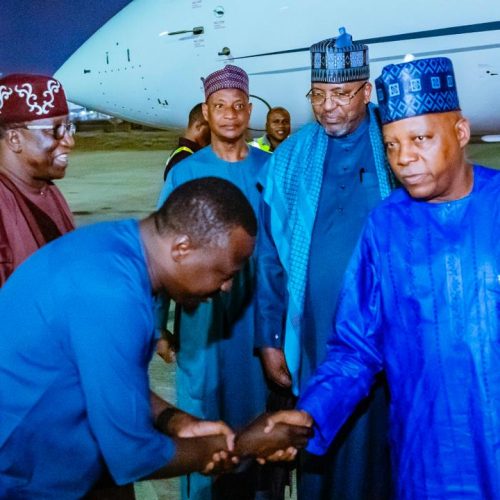 Shettima at 39th African Union Summit