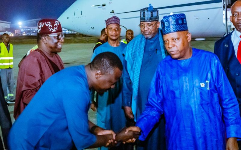 Shettima at 39th African Union Summit