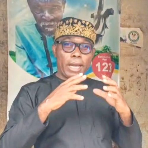 Adebayo Criticizes Tinubu Over Plateau Killings