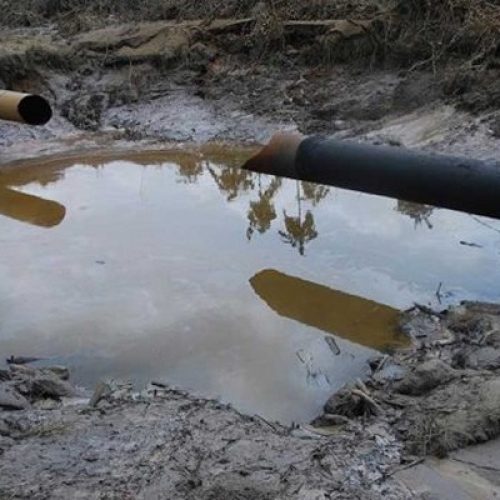cruide oil