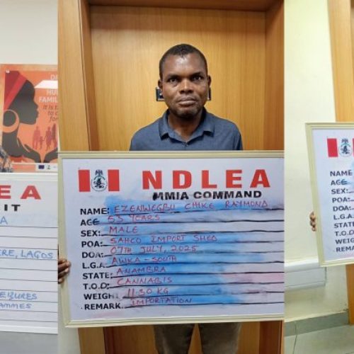 NDLEA Nabs Wanted Drug Kingpin, Intercepts Cocaine in Lipsticks and Loud in Microwaves