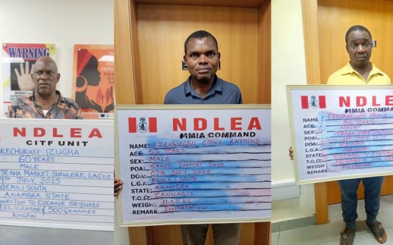 NDLEA Nabs Wanted Drug Kingpin, Intercepts Cocaine in Lipsticks and Loud in Microwaves