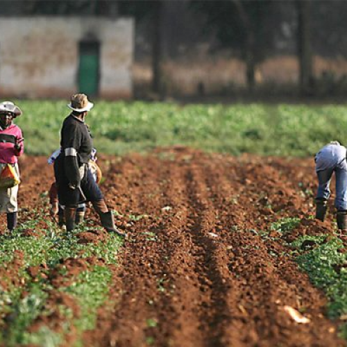 BENUE FOOD SECURITY: FARMERS & TRADITIONAL RULERS FOR COUNTERPART FUNDING