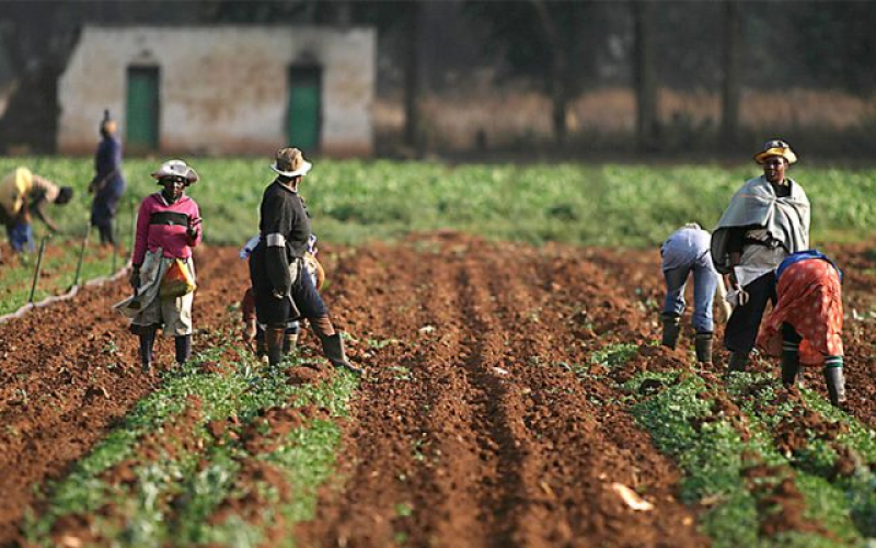 BENUE FOOD SECURITY: FARMERS & TRADITIONAL RULERS FOR COUNTERPART FUNDING