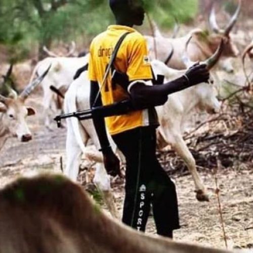 Herders-Farmers Clash in Taraba: 62 Houses Razed, One Injured as Government Sends Relief