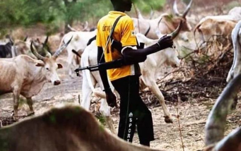 Herders-Farmers Clash in Taraba: 62 Houses Razed, One Injured as Government Sends Relief