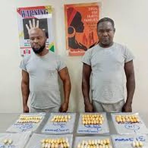 NDLEA Arrests Brazil Returnees, Businesswoman, and Others in Major Drug Busts Across Nigeria