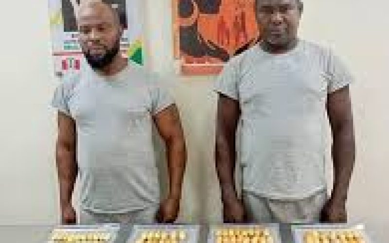 NDLEA Arrests Brazil Returnees, Businesswoman, and Others in Major Drug Busts Across Nigeria