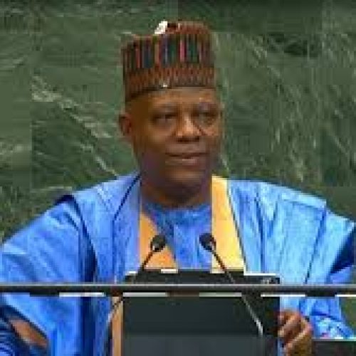 Nigeria Pushes for UN Reform