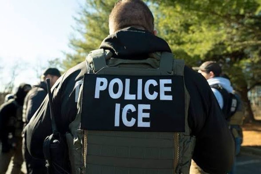 Nigerian Campaign Canvasser Arrested By ICE After Guilty Plea In US