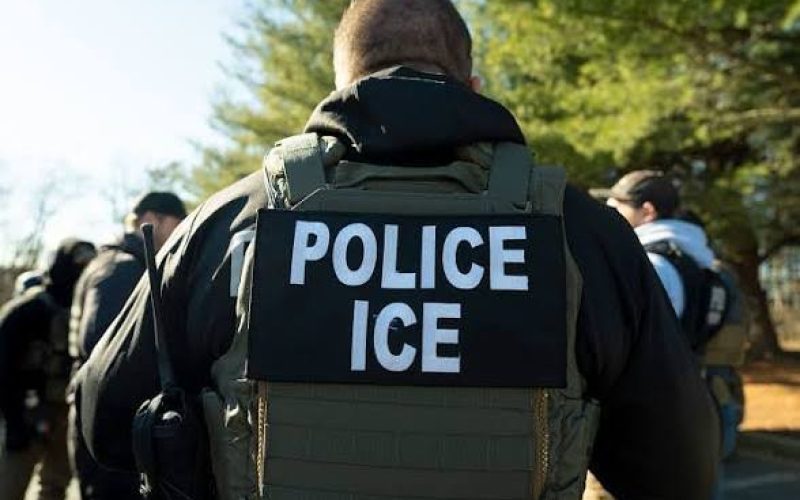 Nigerian Campaign Canvasser Arrested By ICE After Guilty Plea In US