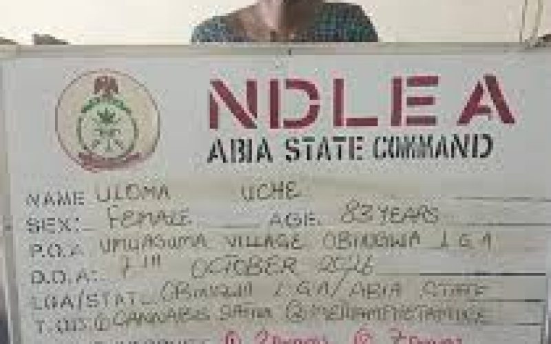 NDLEA ARRESTS 83-YEAR-OLD GRANDMOTHER