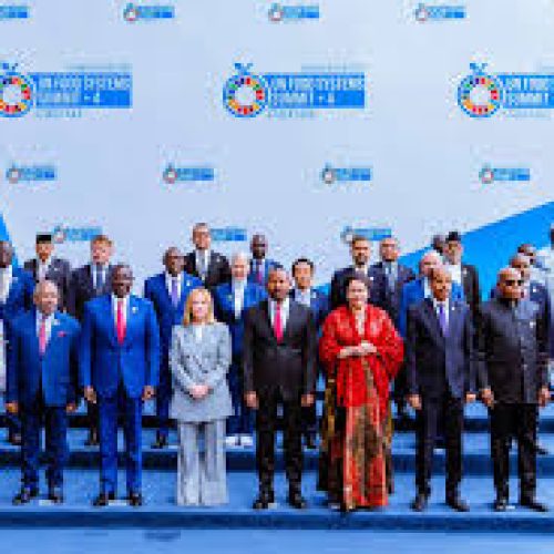 UN Food Systems Summit 2025