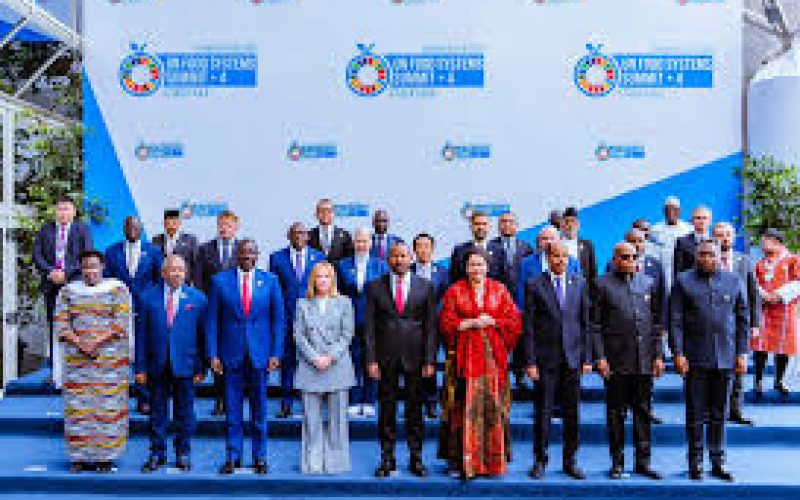 UN Food Systems Summit 2025