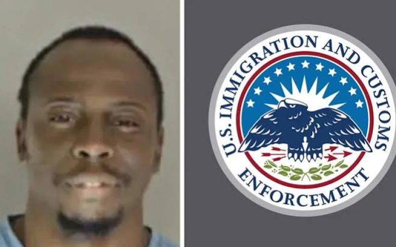 Nigerian Campaign Canvasser Arrested by ICE After Guilty Plea in US